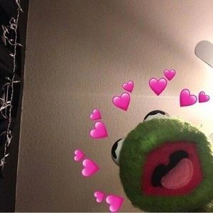 Meet your Posher, India